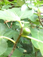 /album/fotogalerie/das-ei-078-jpg/